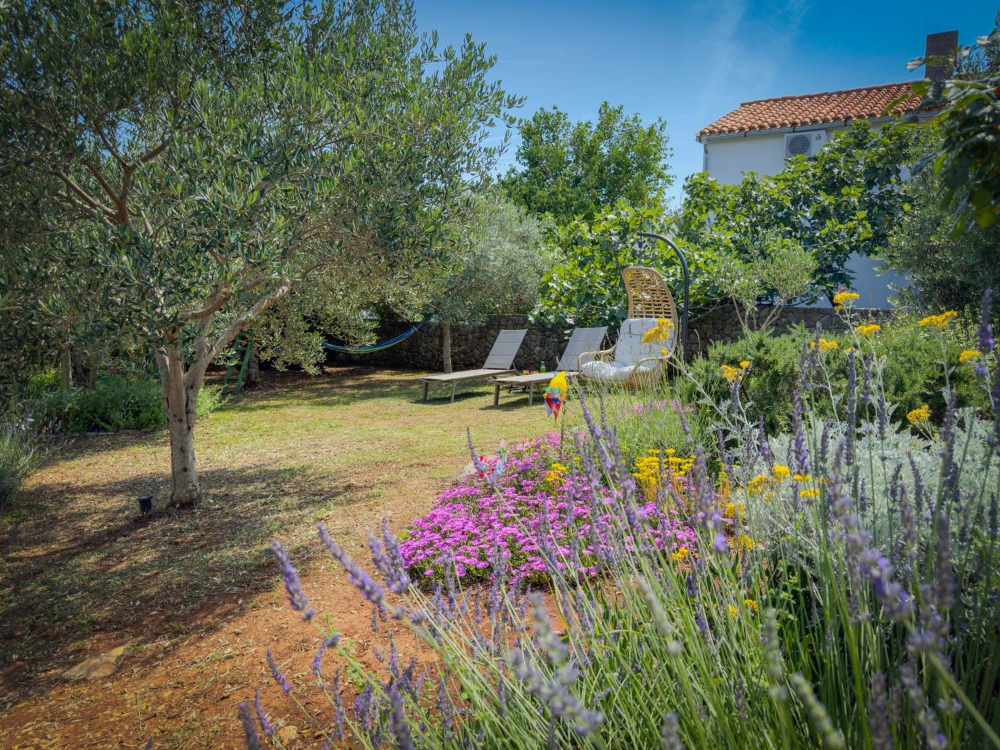 Holiday Home Lavanda Kornić Esterno foto