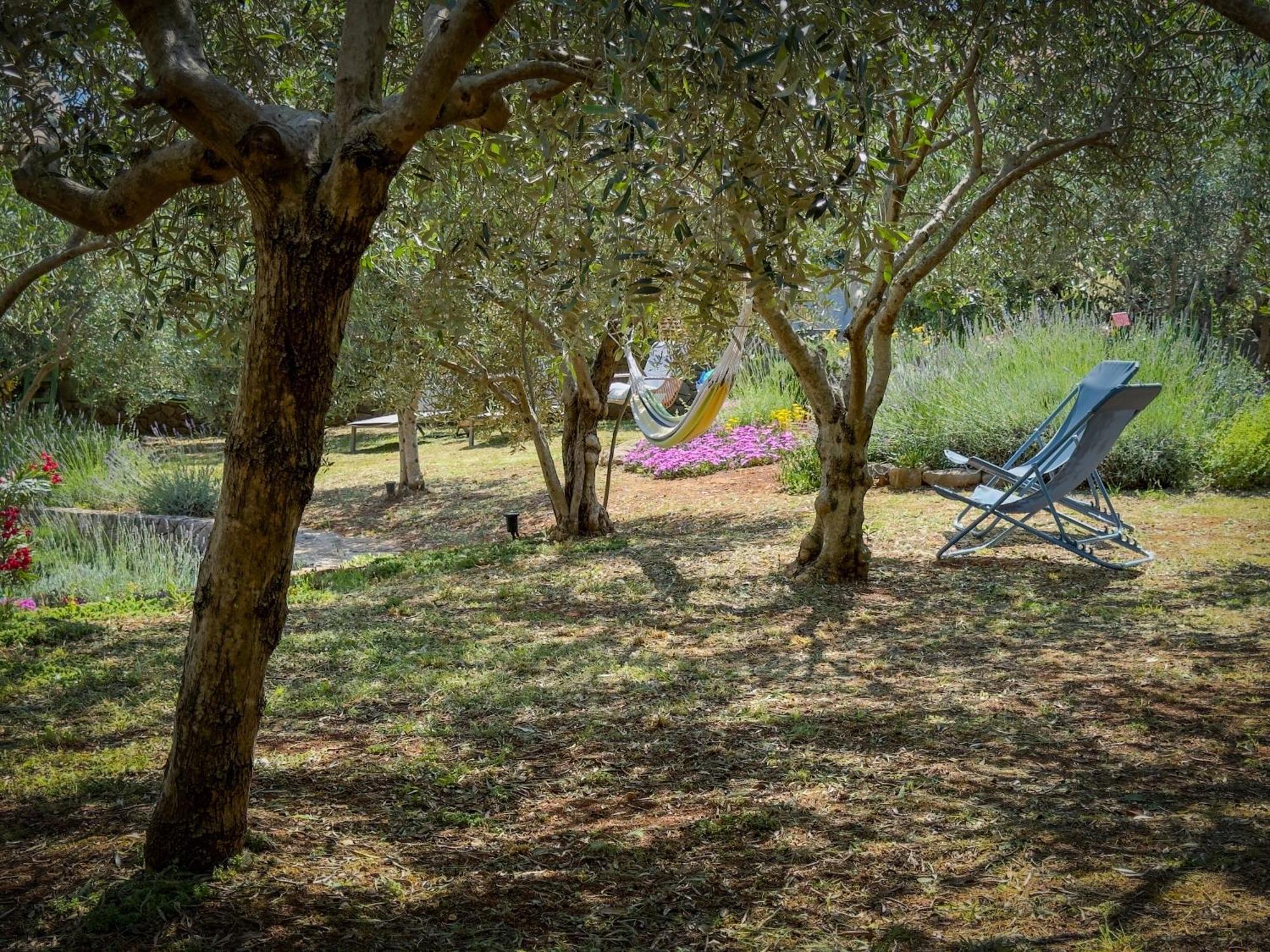 Holiday Home Lavanda Kornić Esterno foto